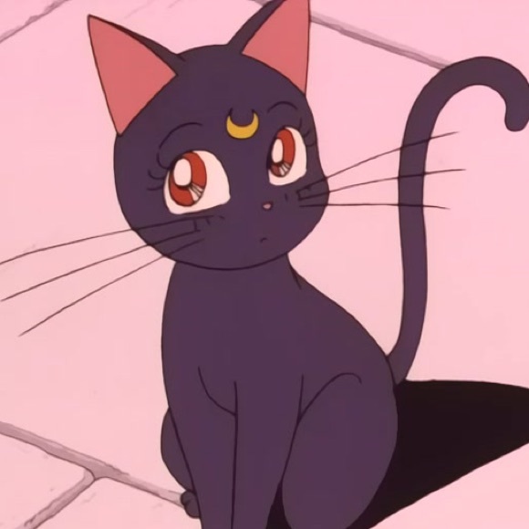 Meet your Posher, Jennifer - Picture 1 of 1